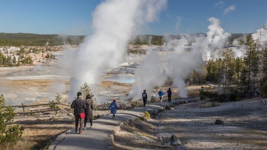 Norris Geyser Basin is the oldest, hottest, most acidic, and most dynamic of Yellowstone’s
Geyser Basins. It's also home to the largest geyser in the world, Steamboat Geyser.