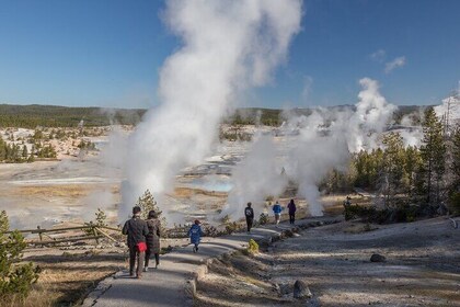 Yellowstone en un jour - Faune, canyons et sources thermales