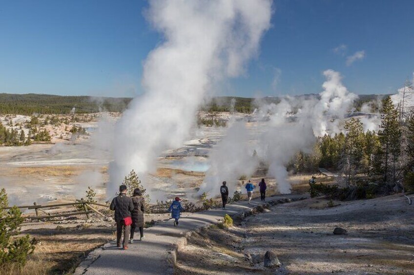 Norris Geyser Basin is the oldest, hottest, most acidic, and most dynamic of Yellowstone’s
Geyser Basins. It's also home to the largest geyser in the world, Steamboat Geyser.
