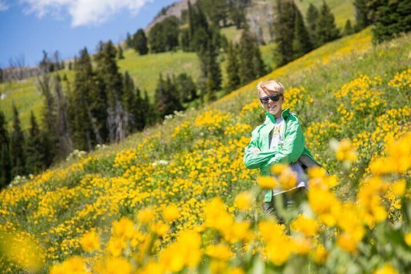 Dunraven Pass is the highest-elevation road in Yellowstone, offering incredible views across the park’s Northern Range and into its interior.
