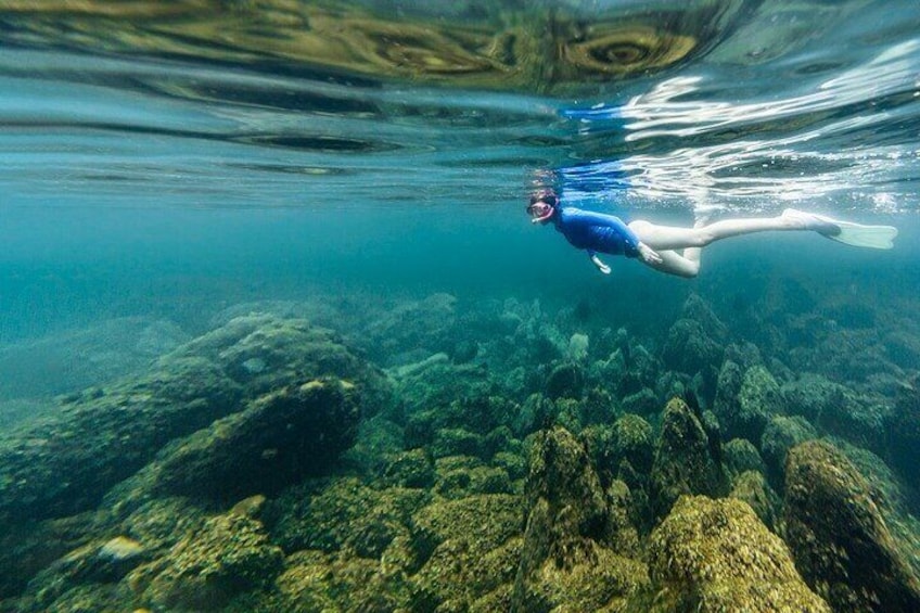 Full-Day Speedboat Tour in Angra and Islands with pick-up in Rio