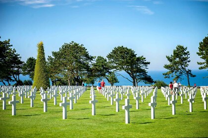 From Le Havre : Normandy D-Day Beaches Private Tour