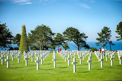 Normandy D-Day Beaches : Private Non-Guided Tour fr Le Havre