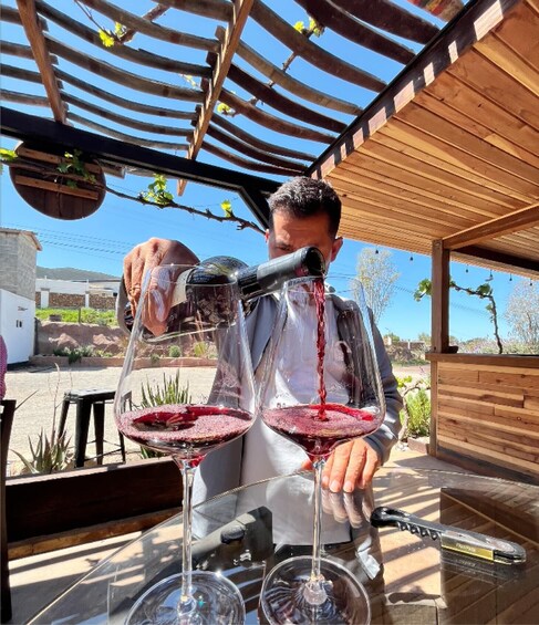 Unconventional Valle de Guadalupe
