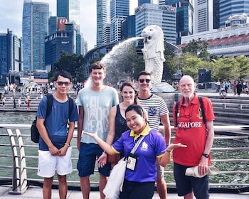 Recorrido turístico privado a pie por la ciudad de Singapur