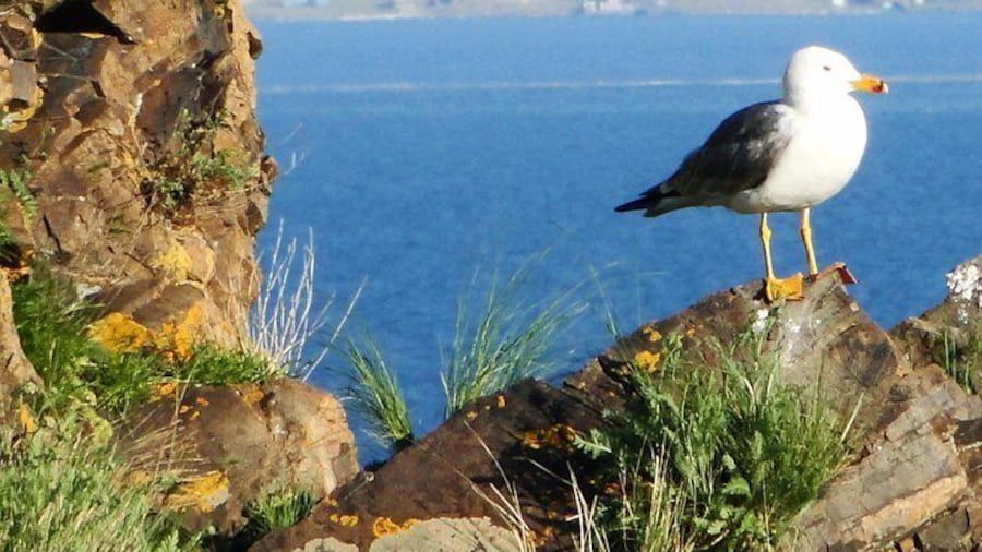 Sevan lake