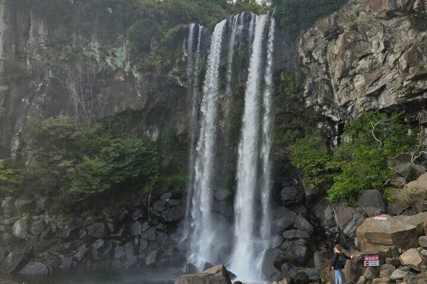 Jeju Full PACKAGE Tour- (East and South and West of JEJU Island)