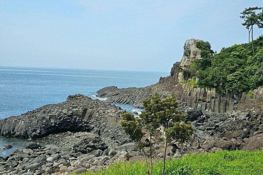 Jeju island private Taxi Tour - South of Jeju (PACKAGE)