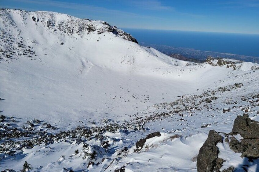 Jeju island private Taxi Tour - South of Jeju (PACKAGE)