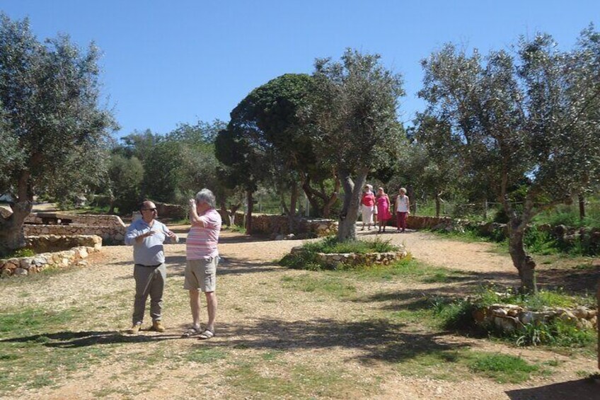 Algarve Private Tour with Typical Lunch