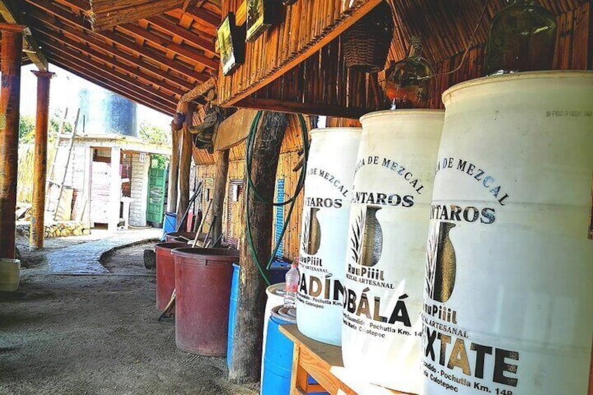Tour Los Caminos del Mezcal Café and Pedal Loom Factory