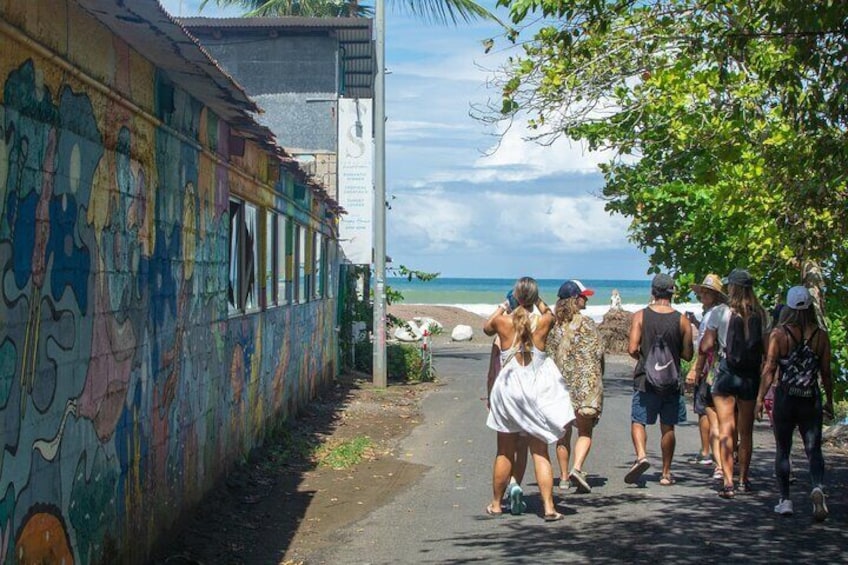 Guided Walking Street Art Tour in Jaco Costa Rica 