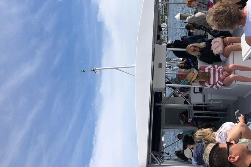 Flippers Adventures Dolphin Cruise