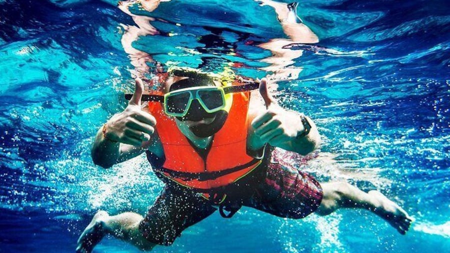 Flippers Adventures 2 Stop Snorkeling and Dolphin Cruise