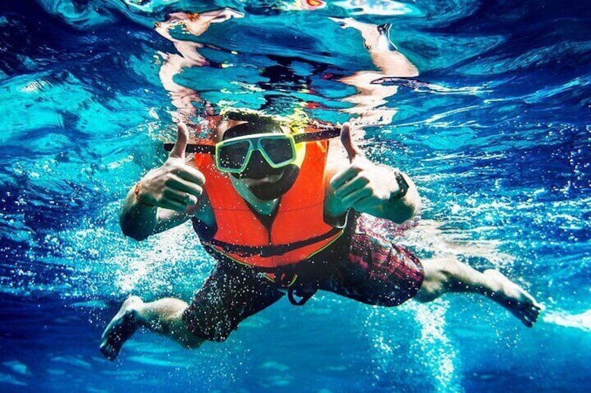 Flippers Adventures 2 Stop Snorkeling and Dolphin Cruise