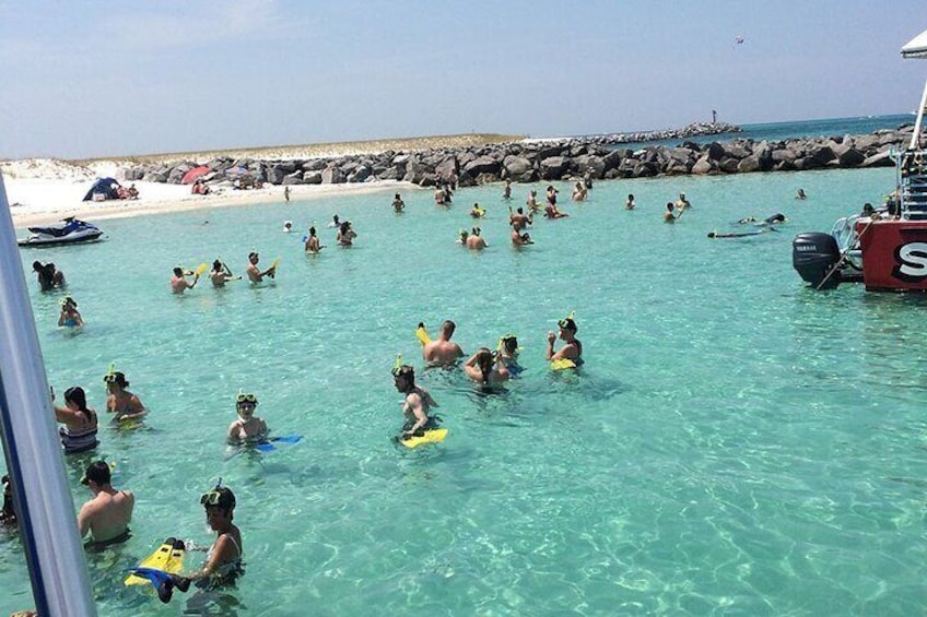 Flippers Adventures 2 Stop Snorkeling and Dolphin Cruise