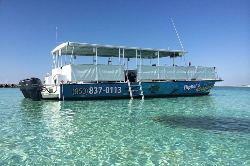 Flippers Adventures 2 Stop Snorkeling and Dolphin Cruise