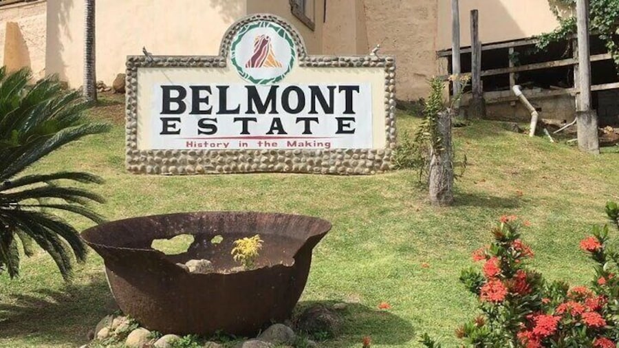 Full-Day Tour: Belmont Estate, Rum Distillery, Grand Etang