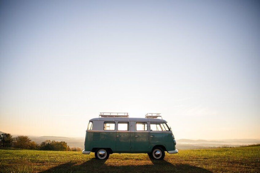 Vintage VW Private Wine Tour in Virginia's Countryside