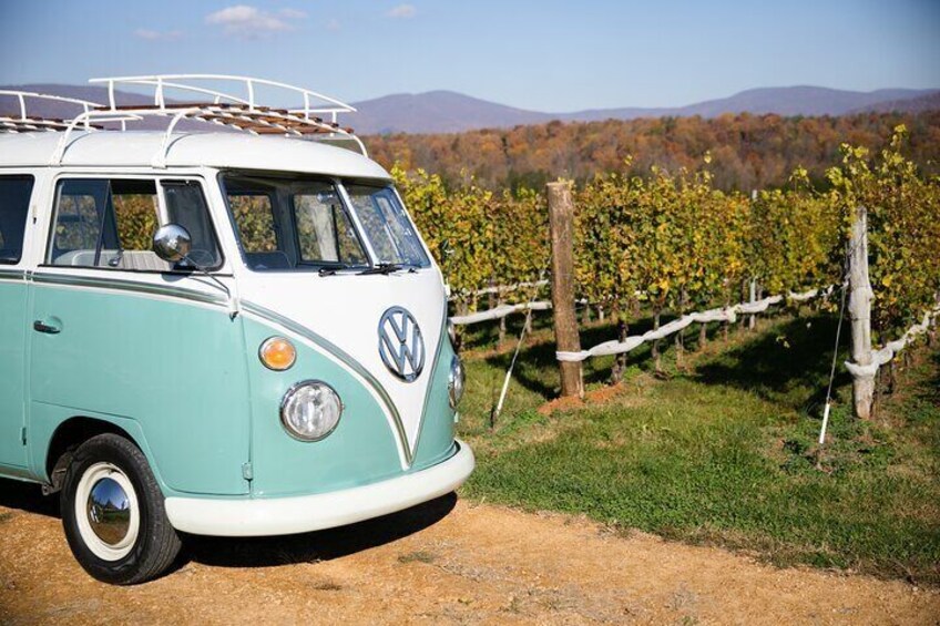 Vintage VW Private Wine Tour in Virginia's Countryside
