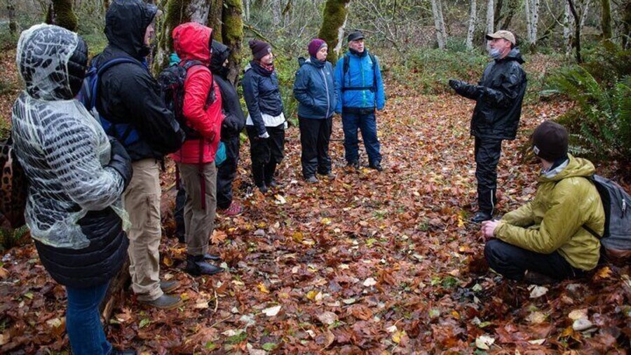 Fall Forest Edibles Tour