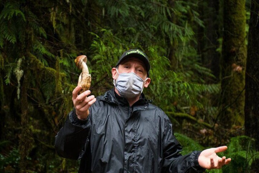 Unusual fungi!