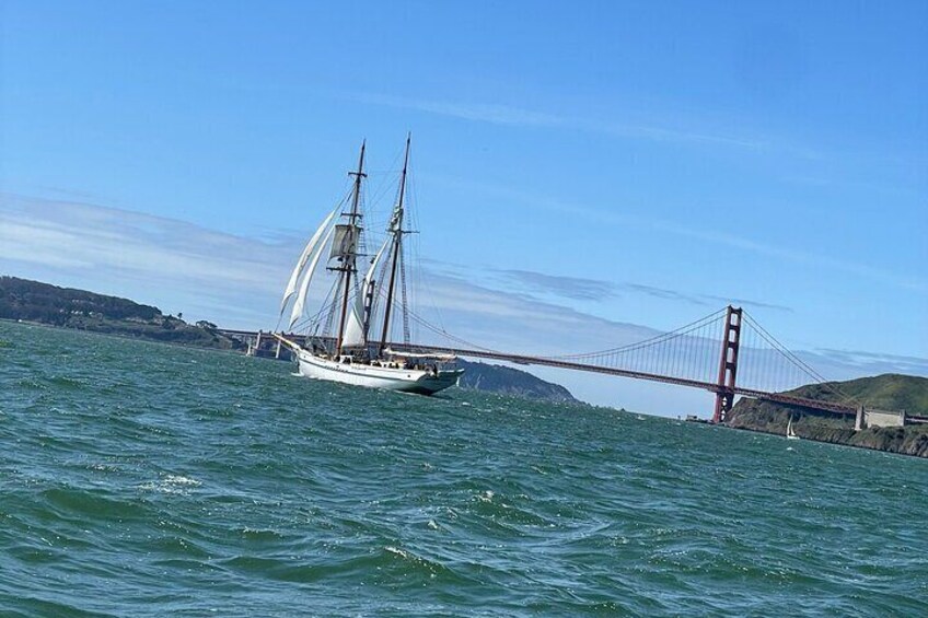 Full-Day Private San Francisco Bay Sailing Tour