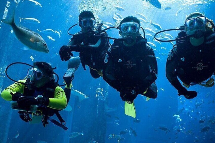 Scuba Diving in Fujairah with Private Transfers