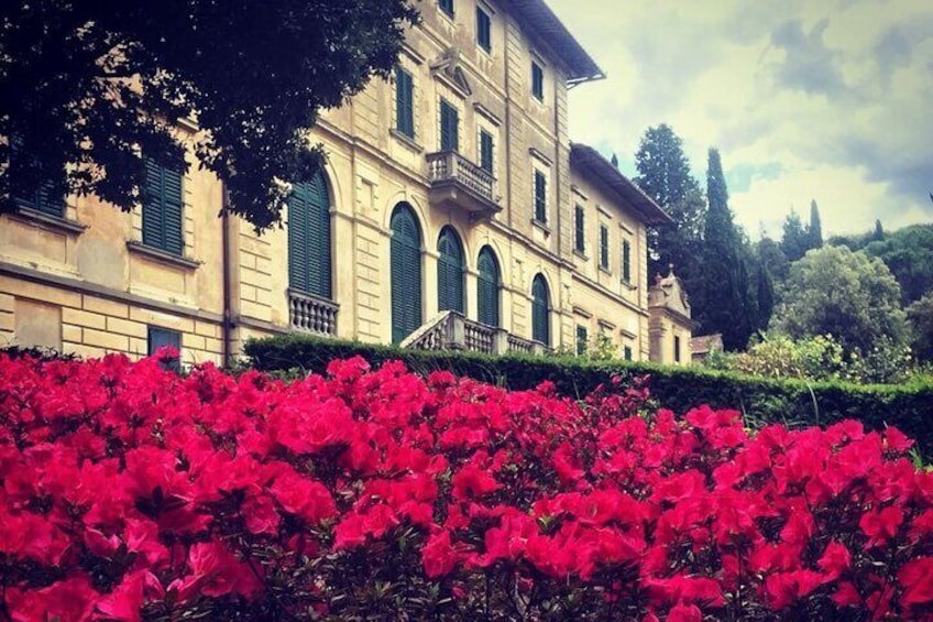 Wine Tasting Activity at Chianti Rufina