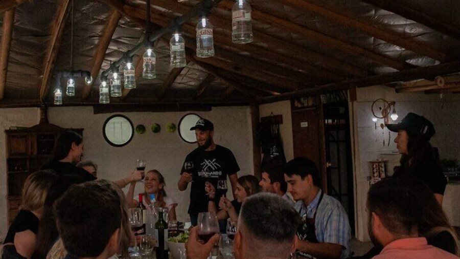 Gastronomic experience with barbecue class in Mendoza.