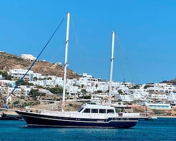 Mykonos: Delos en Rhenia Eilanden Cruise met BBQ Maaltijd