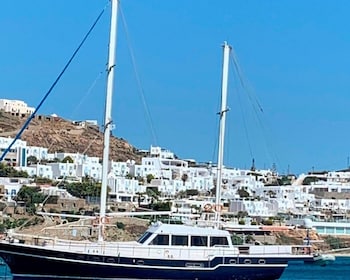 Mykonos: Delos en Rhenia Eilanden Cruise met BBQ Maaltijd