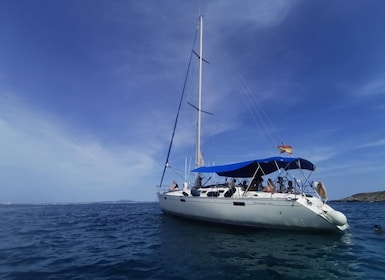 馬略卡島帕爾馬：船長和小吃的帆船之旅