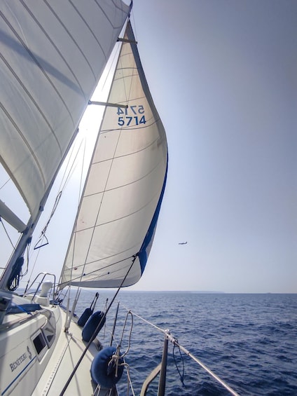 Picture 10 for Activity Palma de Mallorca: Sailing Boat Trip with Skipper & Tapas