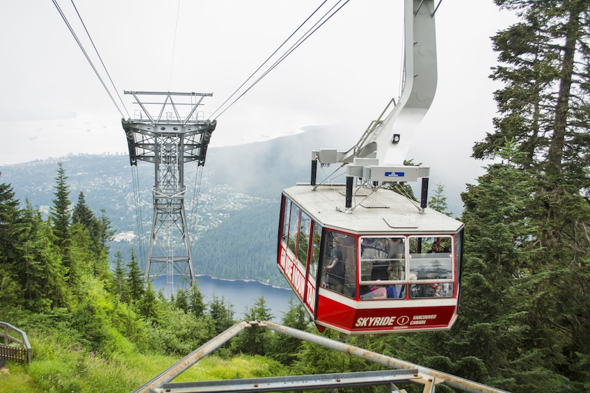 Vancouver Grouse Mountain Small Group Express + Skyride, Peak Chairlift