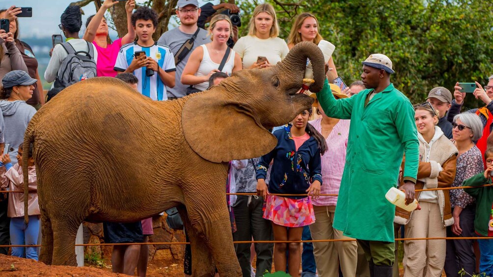Nairobi: Elephant Orphanage Trust and Giraffe Center Tour