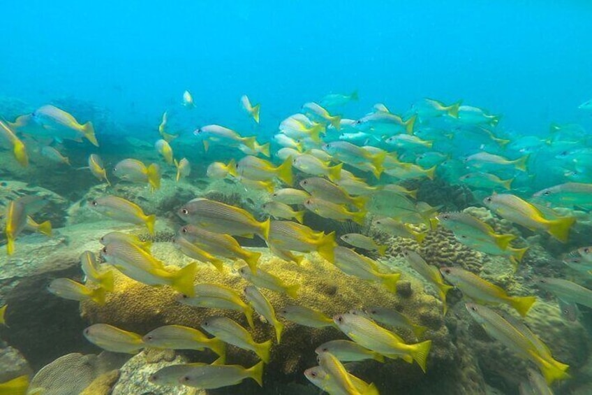 Discover Scuba Diving in Koh Rong