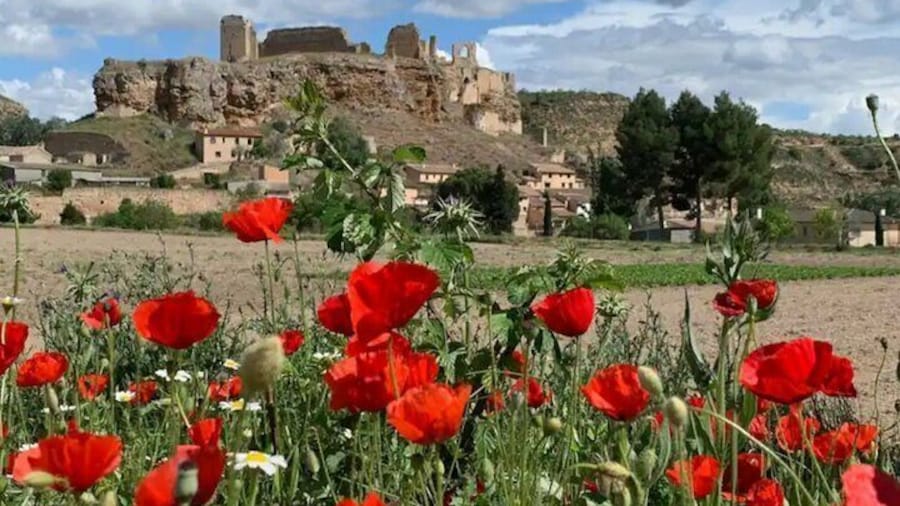 3 Day Foodies & Nature Lovers Tour; Medieval Village Near Madrid