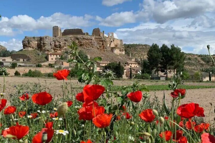 3 Day Foodies & Nature Lovers Tour; Medieval Village Near Madrid