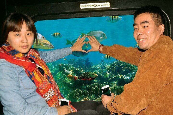 Half day Experience Hurghada Glass boat best locations 