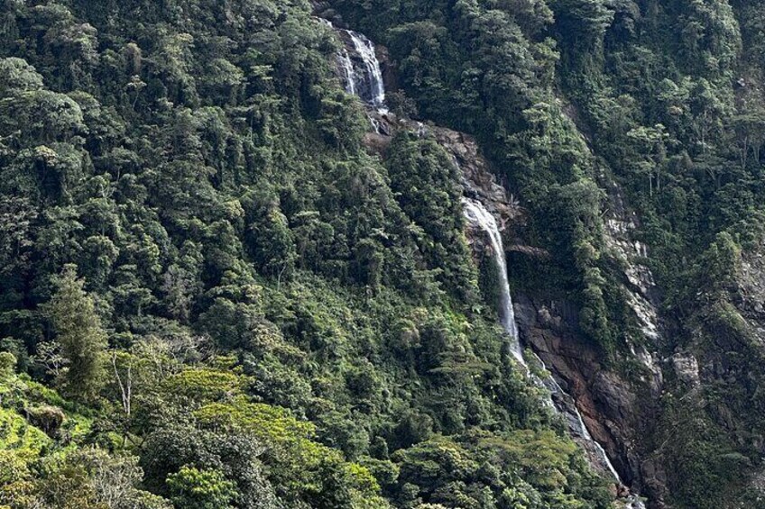 Full Day Private Tour to Rio Claro Canyon from Medellín