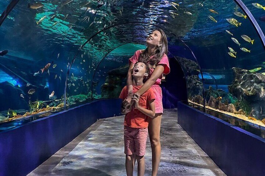 Mauritius Aquarium Tunnel