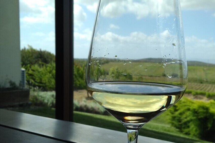 A glass of wine at the Vineyards 