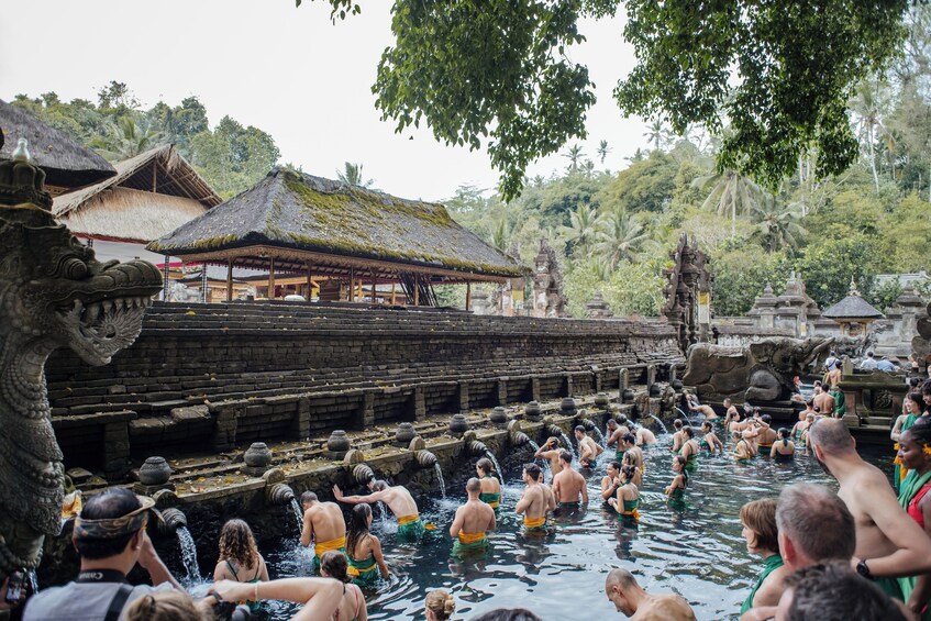 Ubud Tour: Monkey Forest, Tegalalang Rice Terrace and More