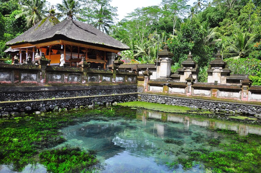 Ubud Tour: Monkey Forest, Tegalalang Rice Terrace and More