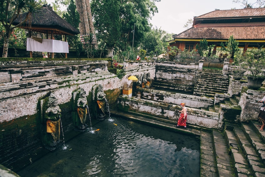 Bali Adventure Tour: Hidden Canyon Trekking, Goa Gajah Temple and More