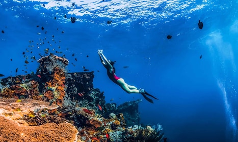 Snorkeling Amed Bali: Kapal Karam Jepang & Pantai Wina - Sehari Penuh