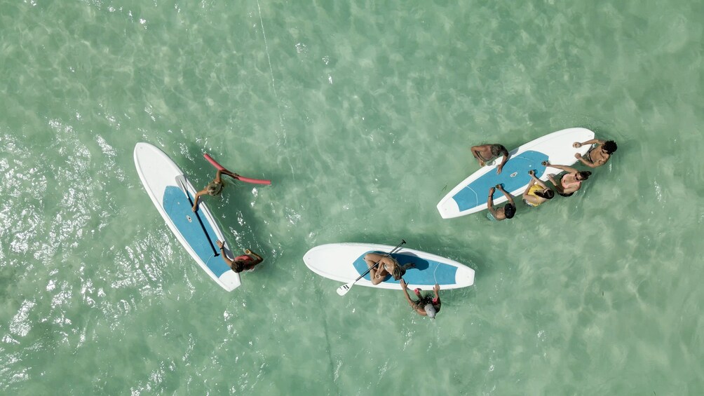 Epic Sandbar Safari With Dolphin Playground Experience In Key West