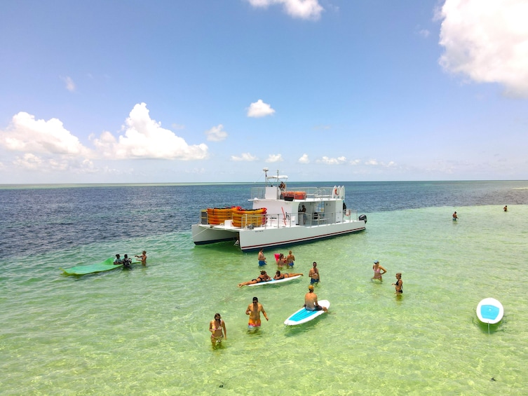 Epic Sandbar Safari With Dolphin Playground Experience In Key West