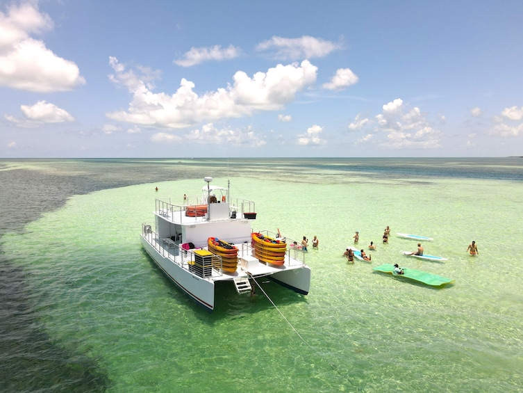 Epic Sandbar Safari With Dolphin Playground Experience In Key West